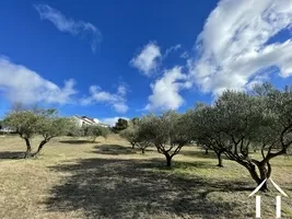 Property 1 hectare ++ for sale st chinian, languedoc-roussillon, 11-2444 Image - 10