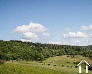 Unique investment opportunity in a natural park  Ref # 2441 